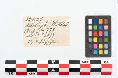 Etikett zu Bronzegewandbesatzknöpfchen (NHMW-PRAE-026007)